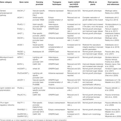 Spatio-Temporal Modification of Lignin Biosynthesis in Plants: A Promising Strategy for Lignocellulose Improvement and Lignin Valorization